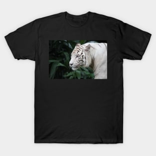 White Tiger T-Shirt